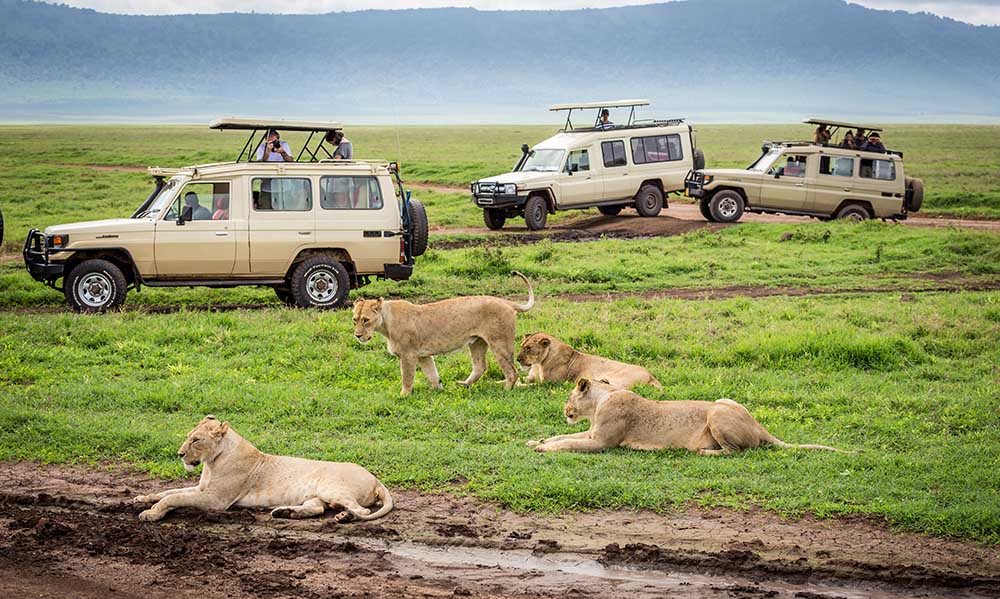 2 Days Tanzania Safari to Tarangire and Ngorongoro Crater
