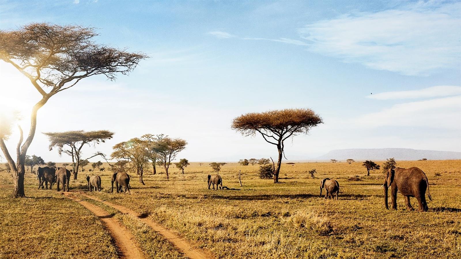 4 Days Tanzania Safari to Tarangire, Serengeti and Ngorongoro Crater