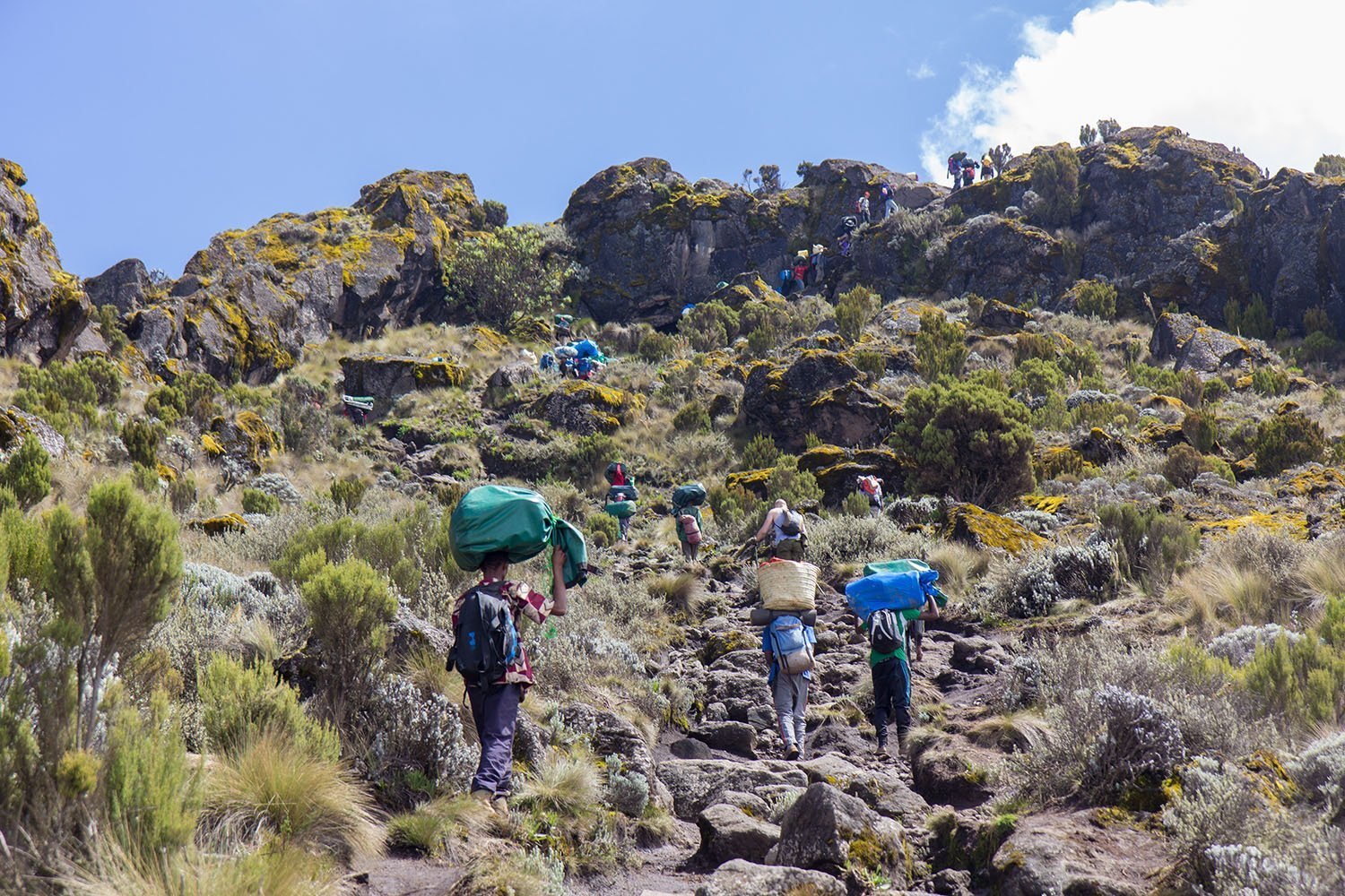 6 Days Kilimanjaro Trekking Rongai Route