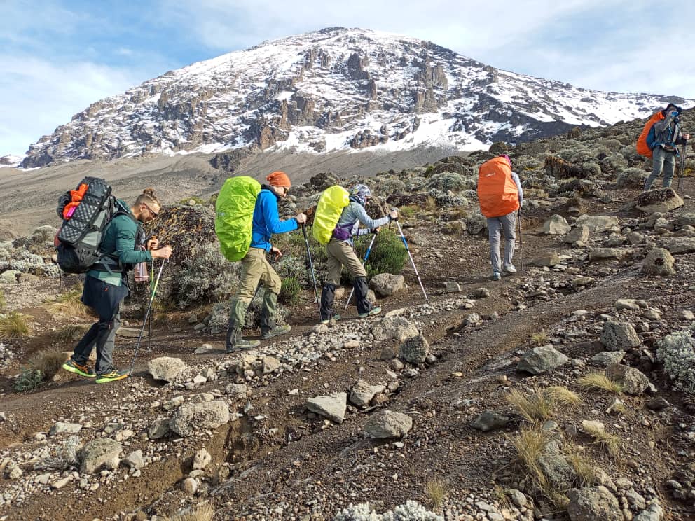 Kilimanjaro Trekking Tours