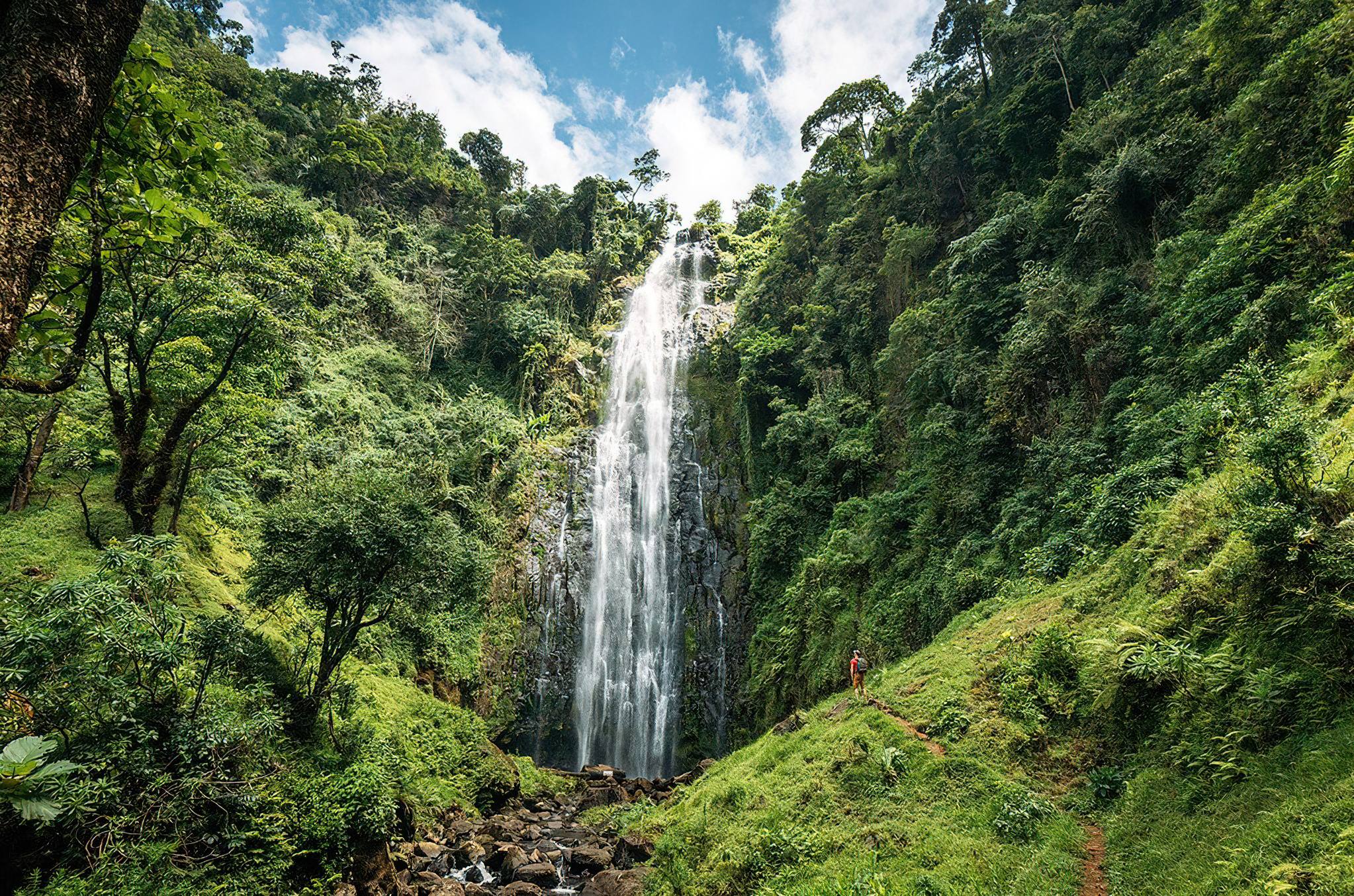 Materuni Waterfall and Coffee Tour Day Trip